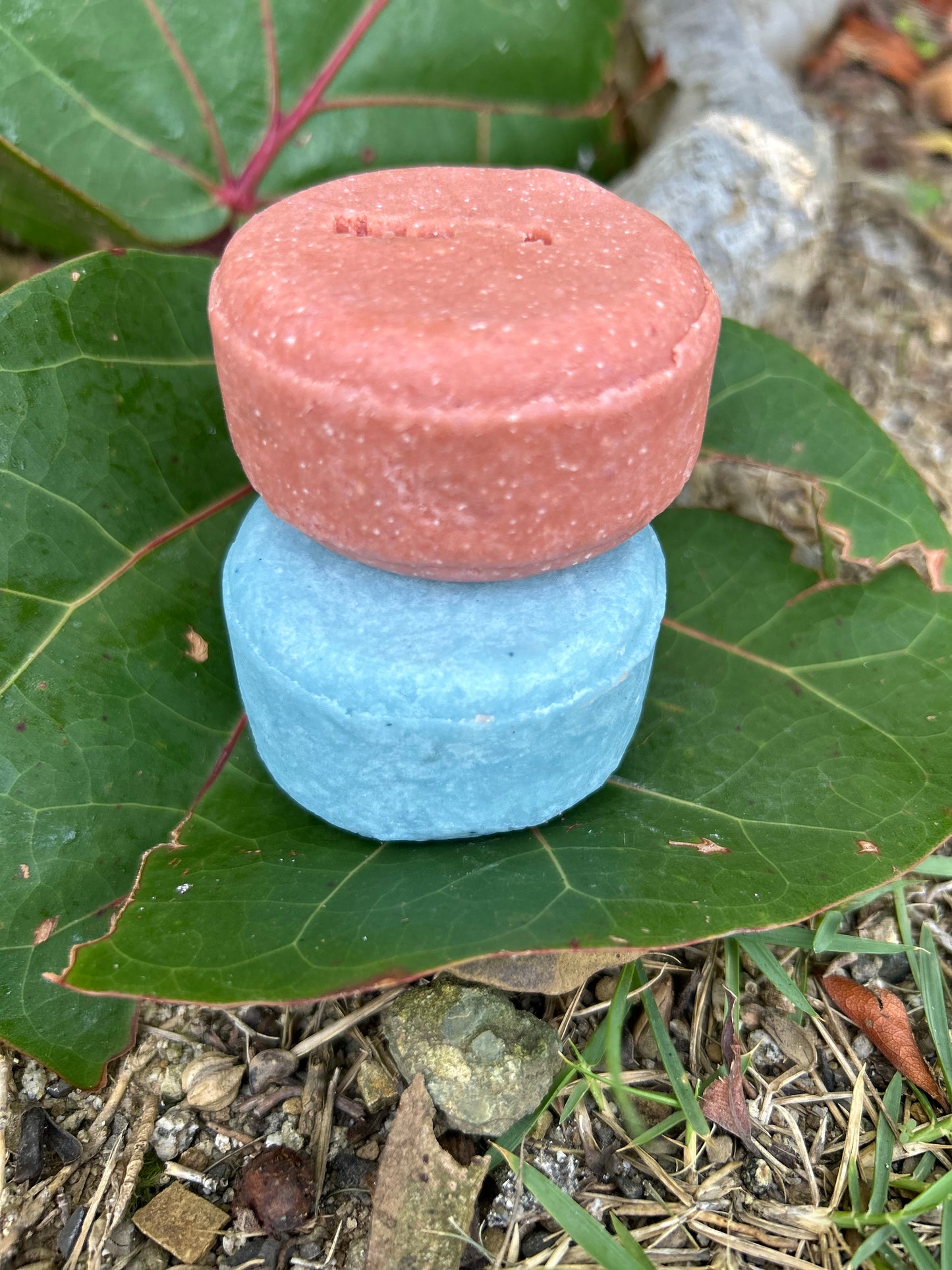 Purslane + Baobab Hair Bar